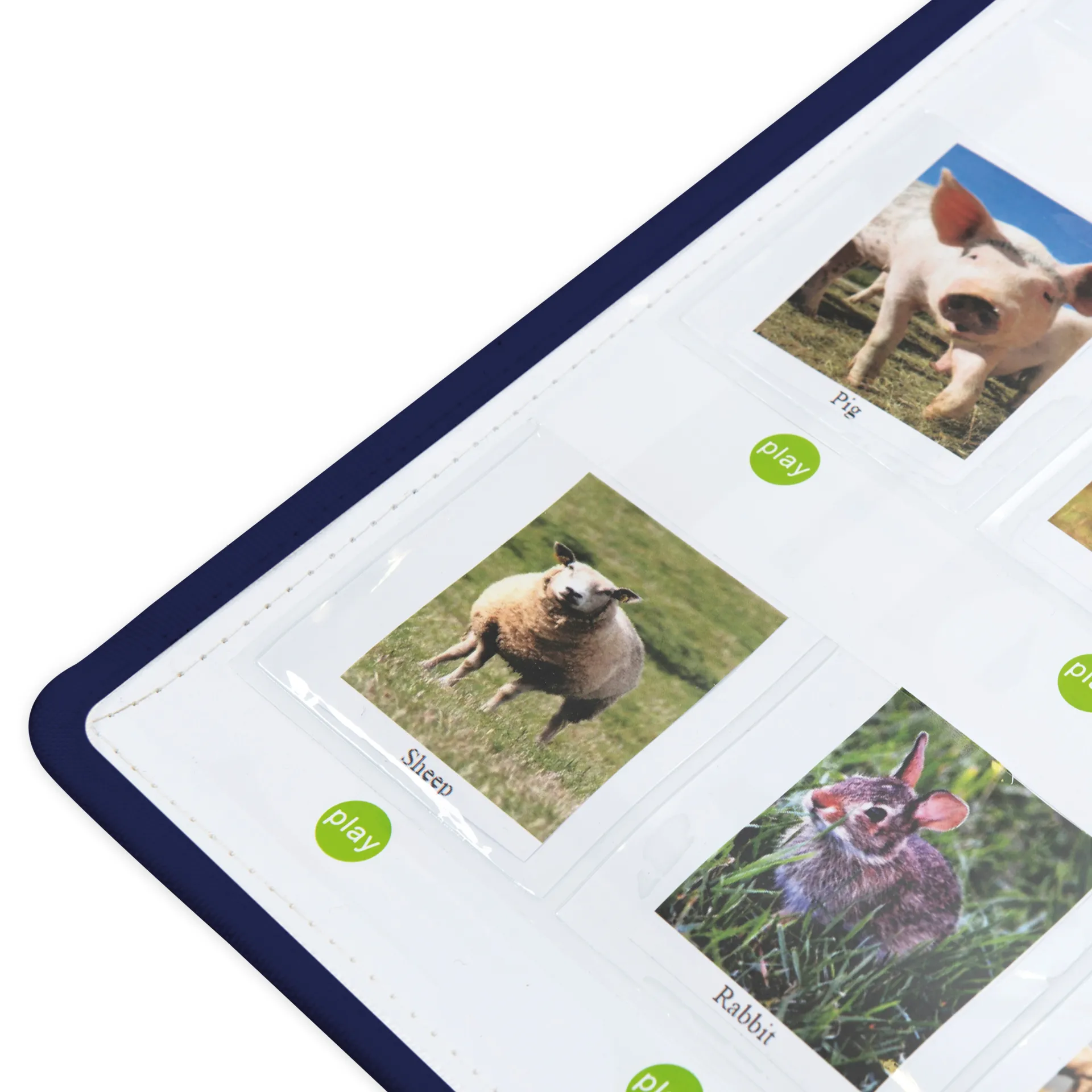 Interaktive Sprach-Rekorder-Tafel mit 30 Einstecktaschen