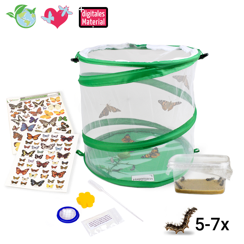 Zuchtset "Schmetterlinge", kompakt, 7-tlg.
