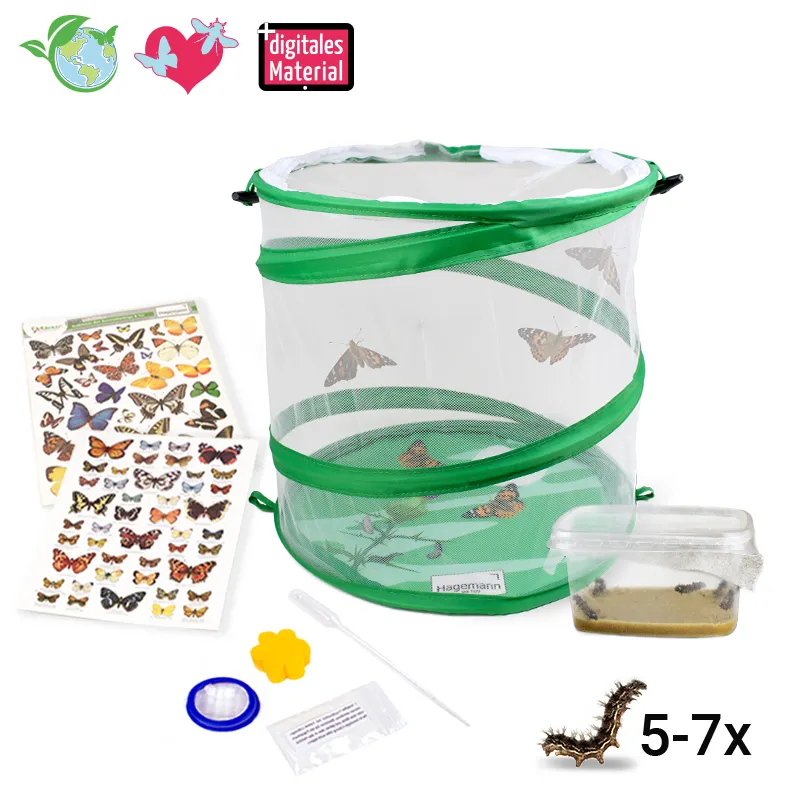 Zuchtset "Schmetterlinge", kompakt, 7-tlg.