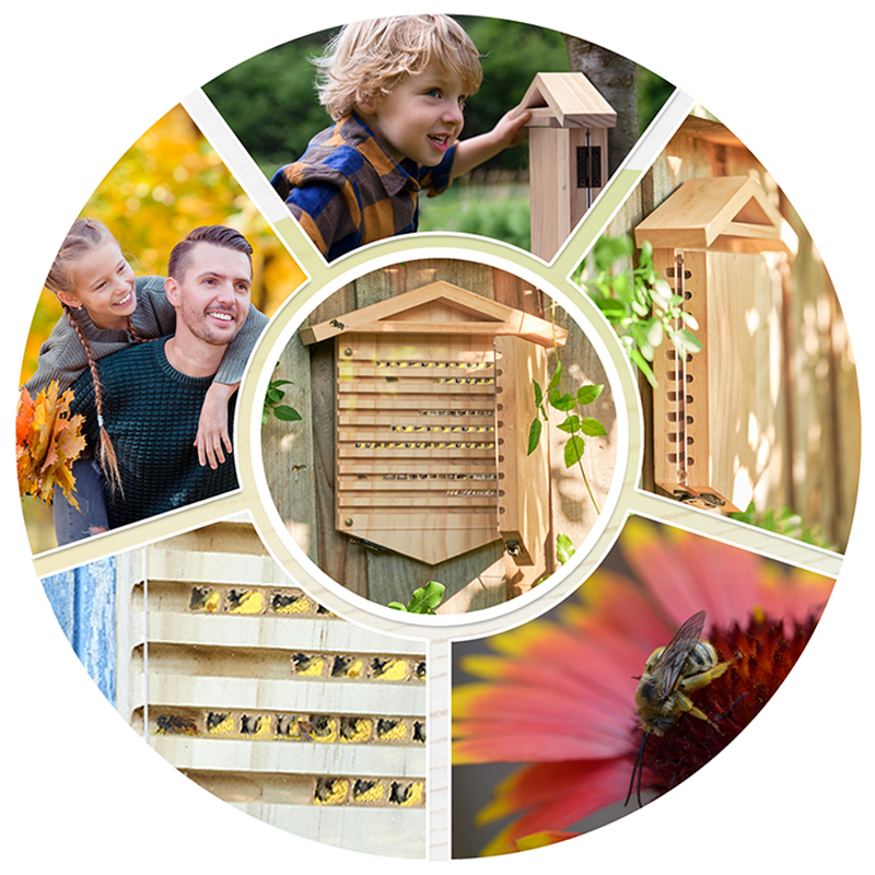 Gutschein-Set "Wildbienen" kompakt zum Aufklappen, Rote Mauerbiene, 4-tlg.