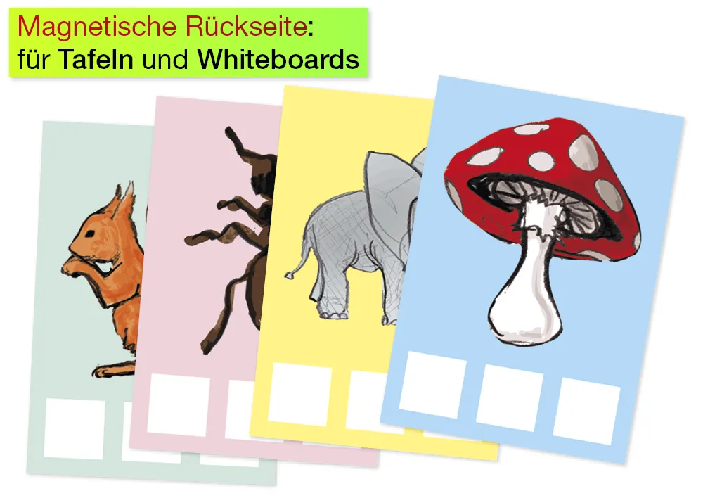 Anlaut-Karten A5, magnetisch, 138-tlg., in Box