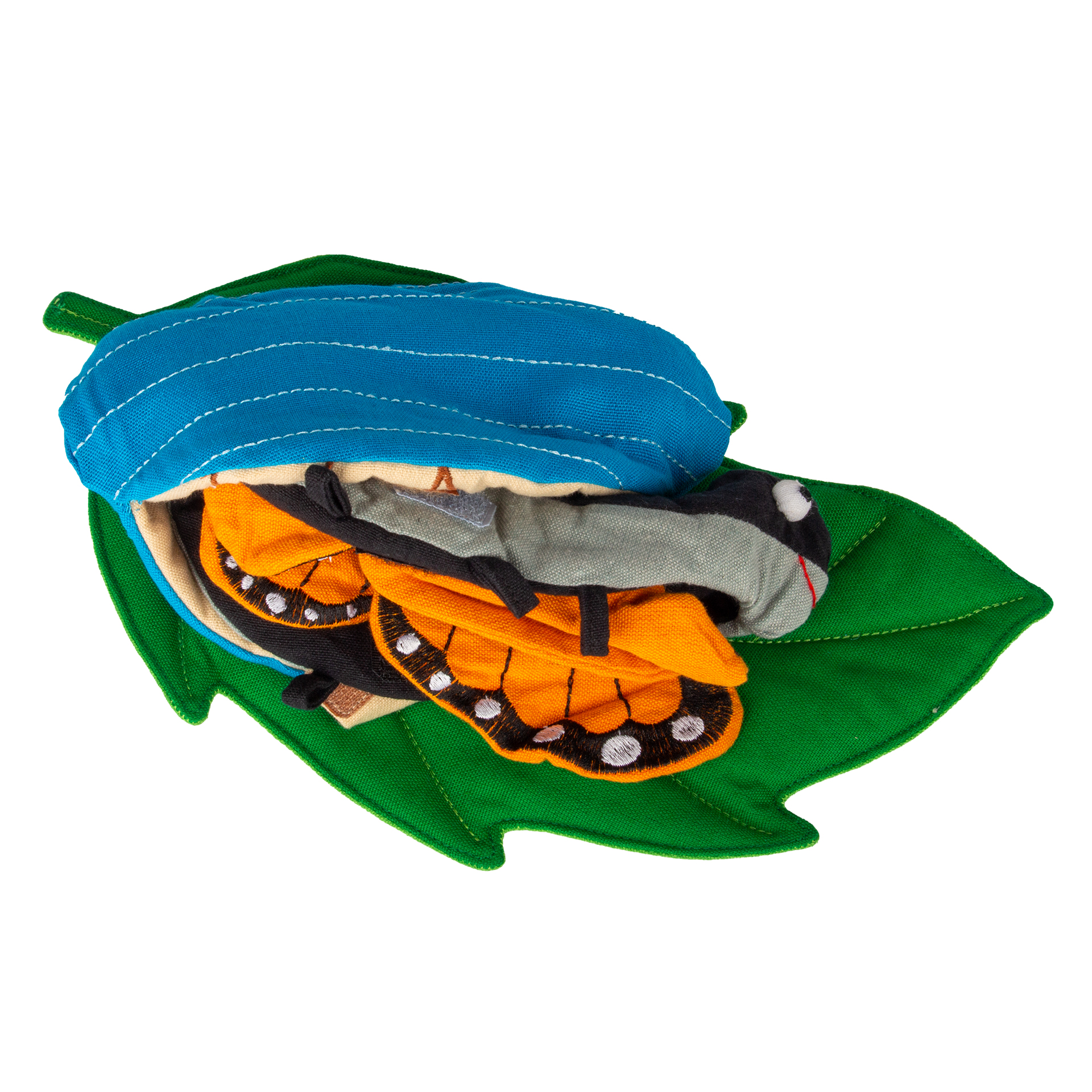 Levenscyclus vlinder, stoffen model, 3-delig