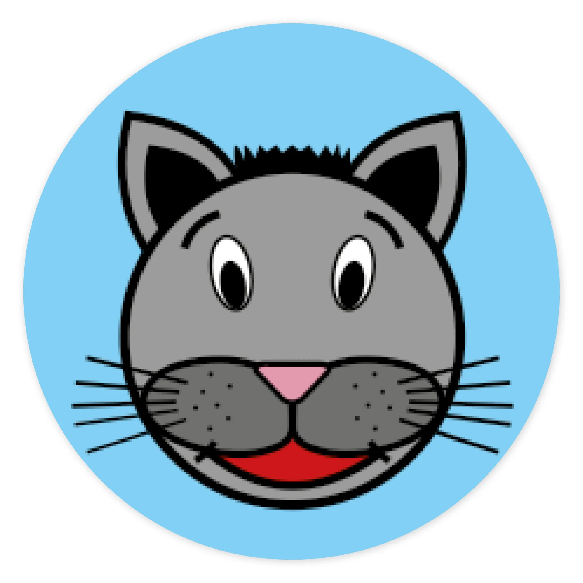 Sada oboustranných magnetek "Obličeje zvířátek"