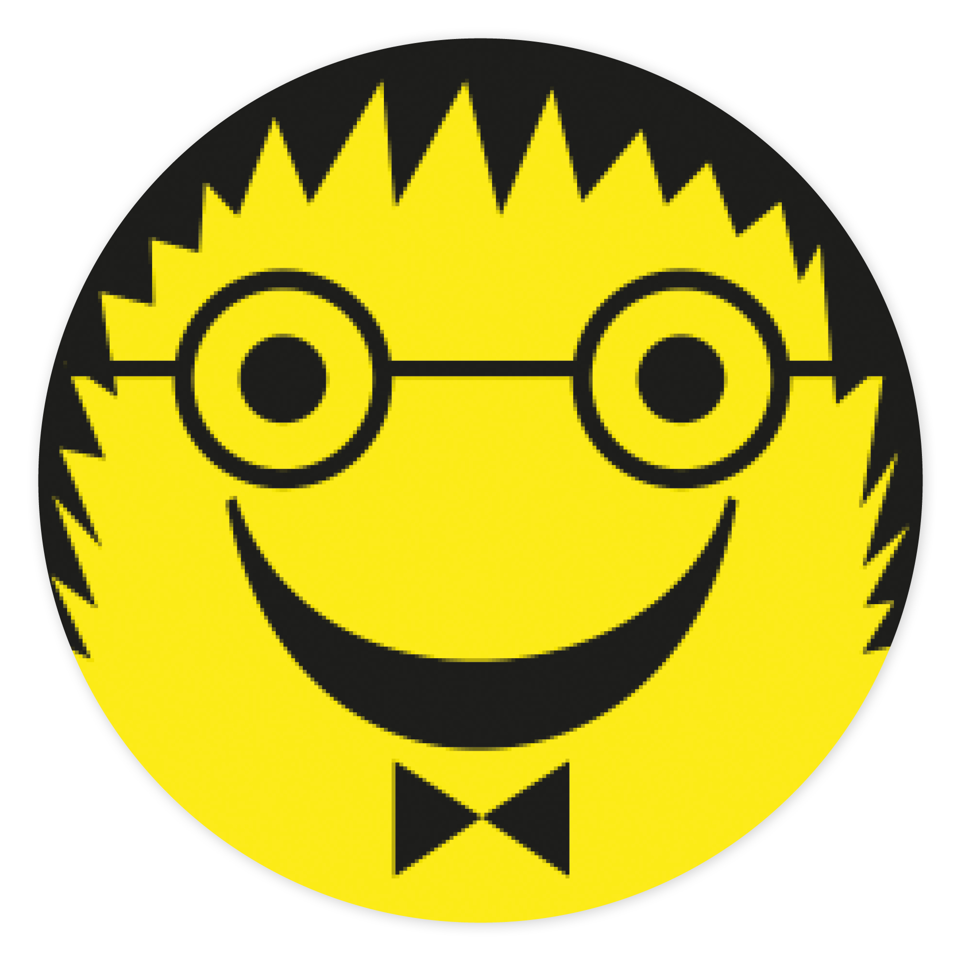 Magnetiska bitar 2-sidiga "ansikten"