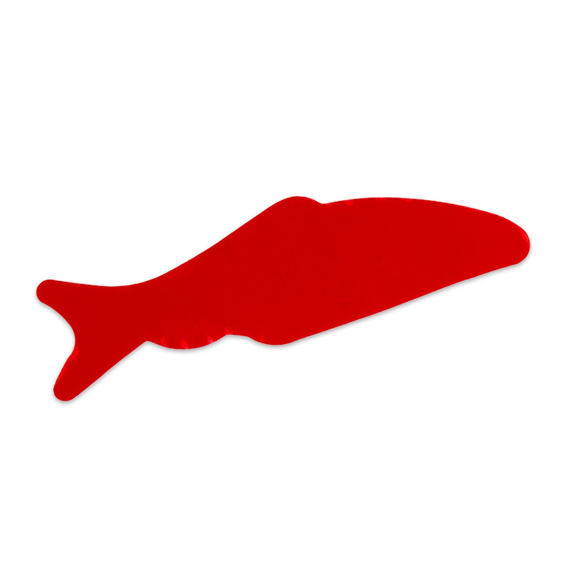 Wunderfisch Wunderfisch