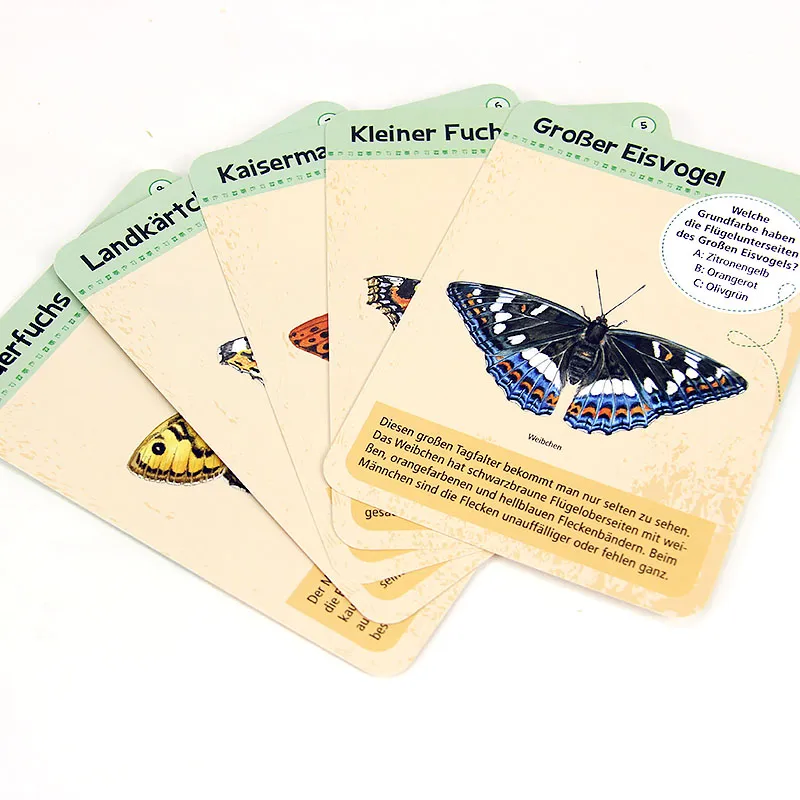 Kartenspiel "50 heimische Schmetterlinge, entdecken & bestimmen"