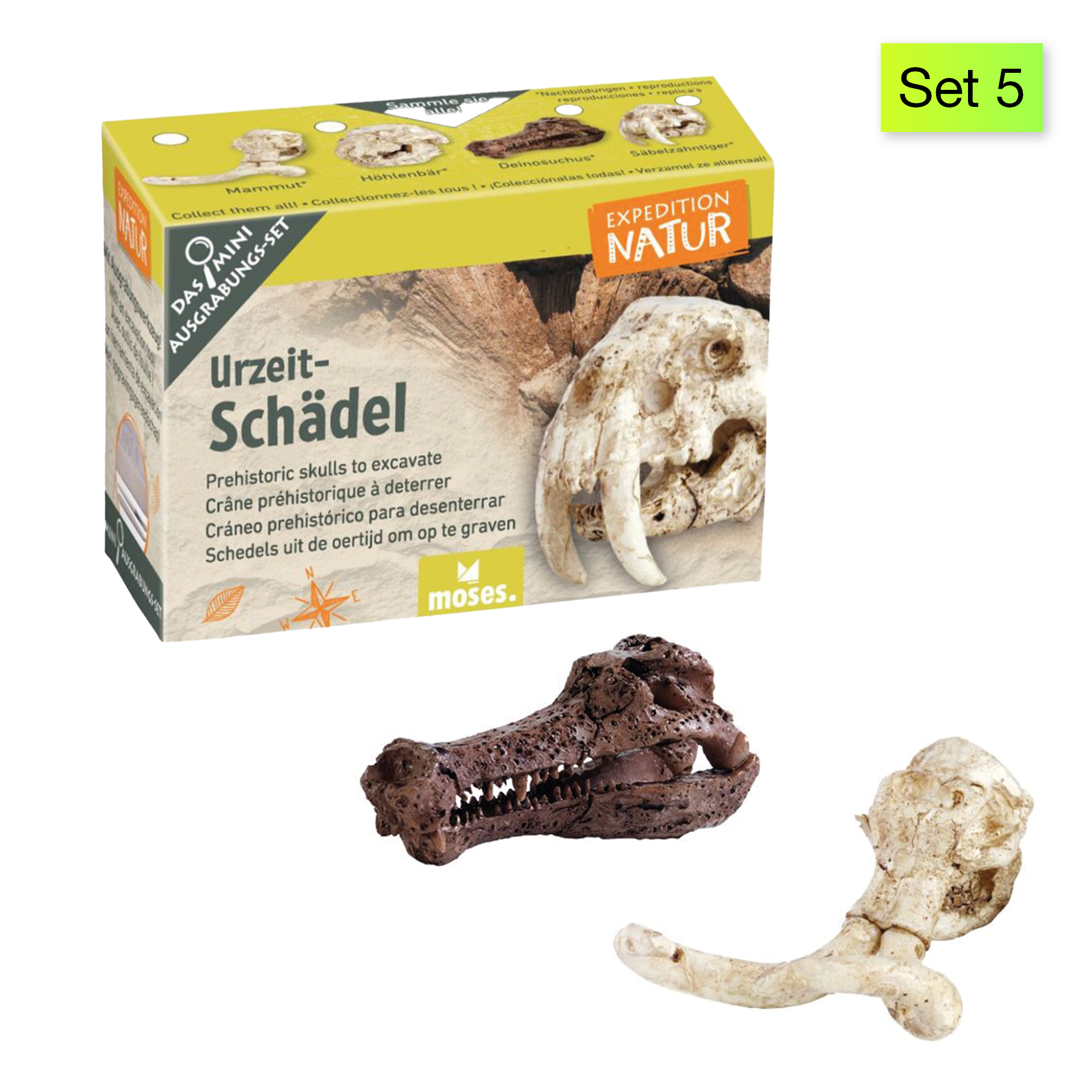 Ausgrabungs-Set "Schatzsuche", klein Ausgrabungs-Set "Schatzsuche", klein