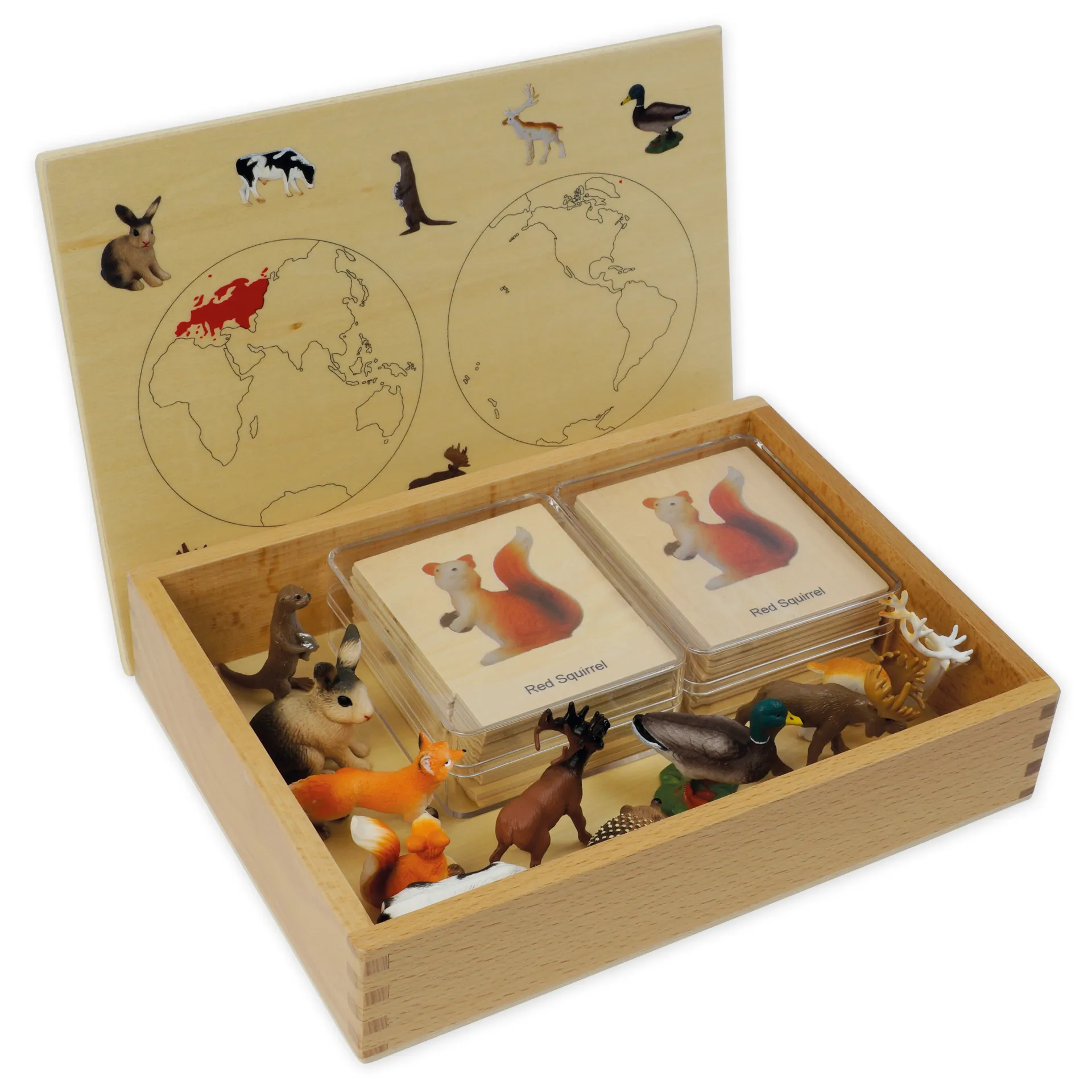 TimeTEX Mini-Tiere-Set Europa "Montessori Premium"