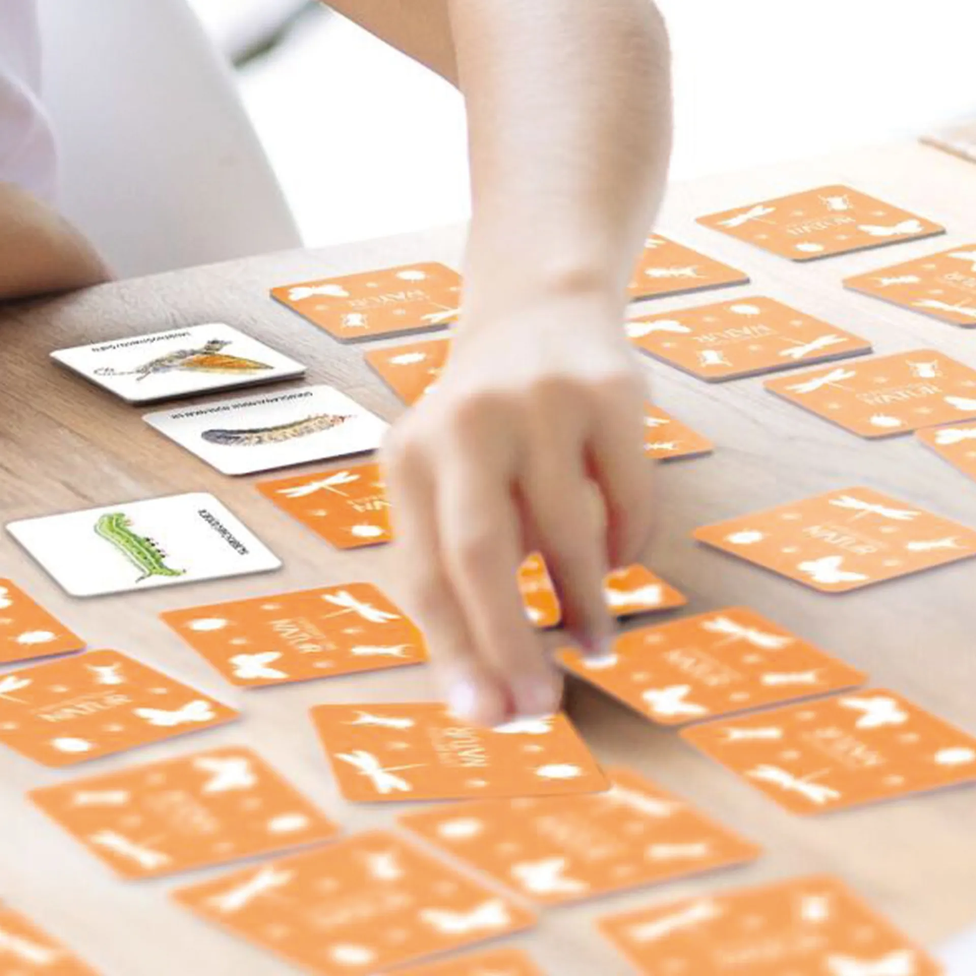 Memo-Spiel "Das große Insekten Memo", 61-tlg.