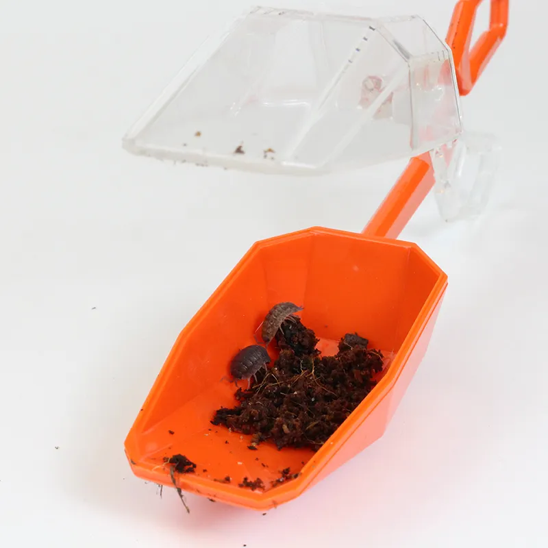 Entdecker-Set "Insekten & Co.", 8-tlg.