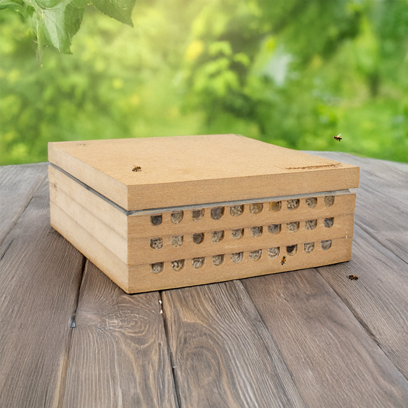 Zuchtset "Wildbienen" kompakt, Rote Mauerbiene, 4-tlg.