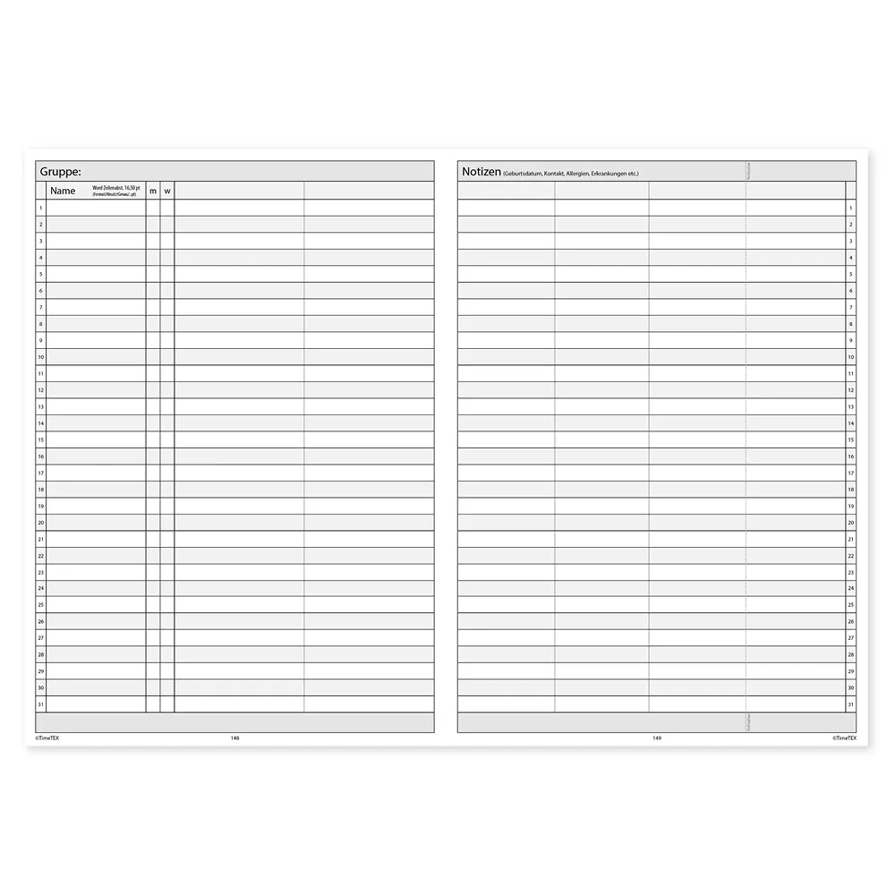 TimeTEX KiTa-System-Planer A4-Plus 2026/2027
