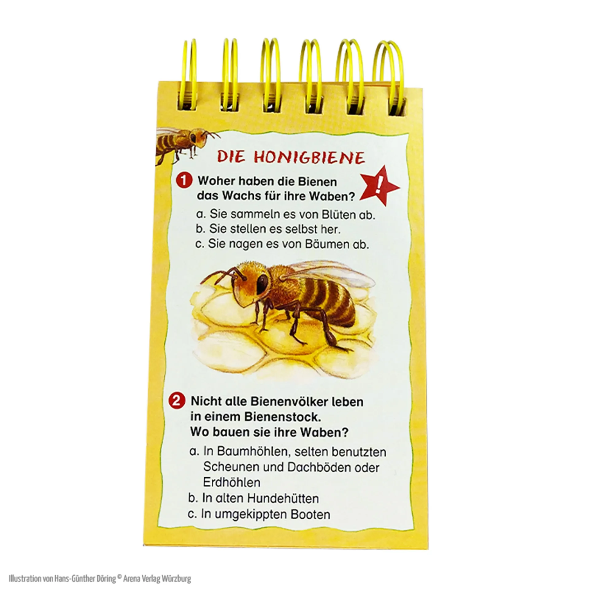 Quizblock "Rate dich schlau! Die Biene und unsere Natur", 80 Seiten