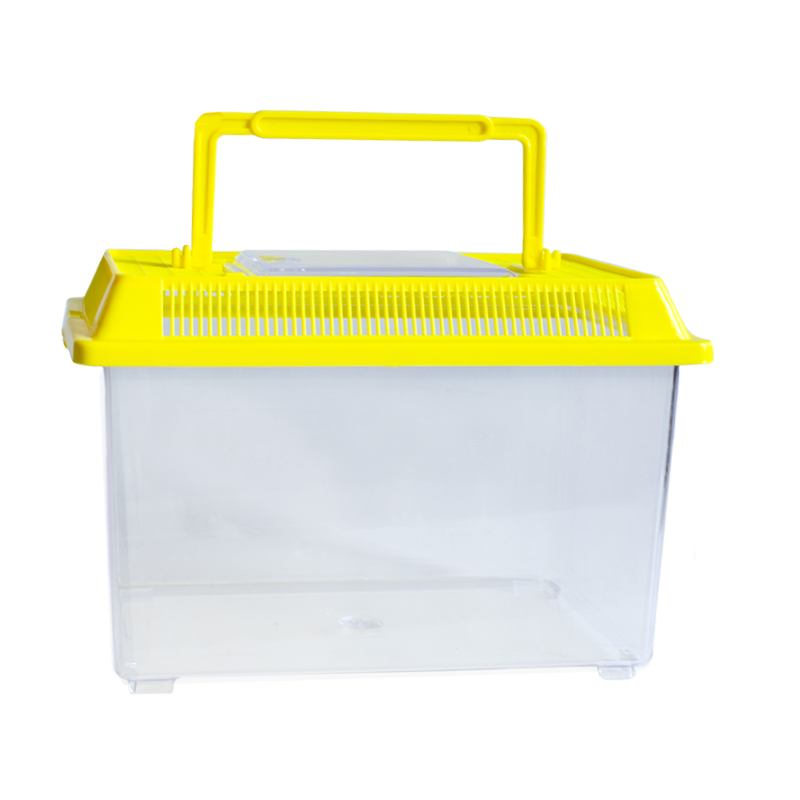 Insekten-Beobachtungsbox, aus Kunststoff