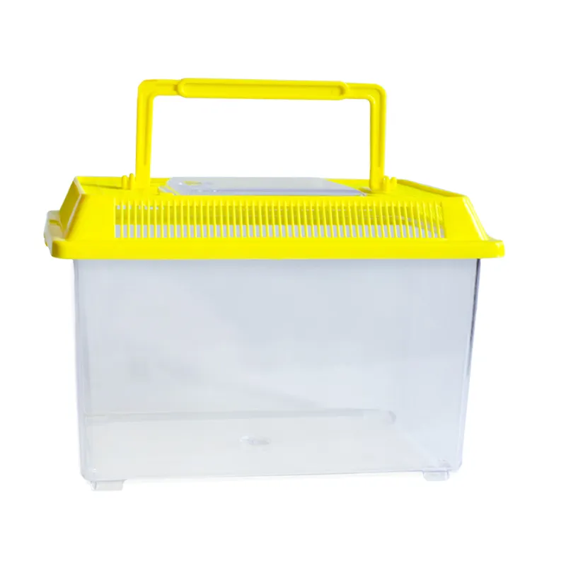 Insekten-Beobachtungsbox, aus Kunststoff