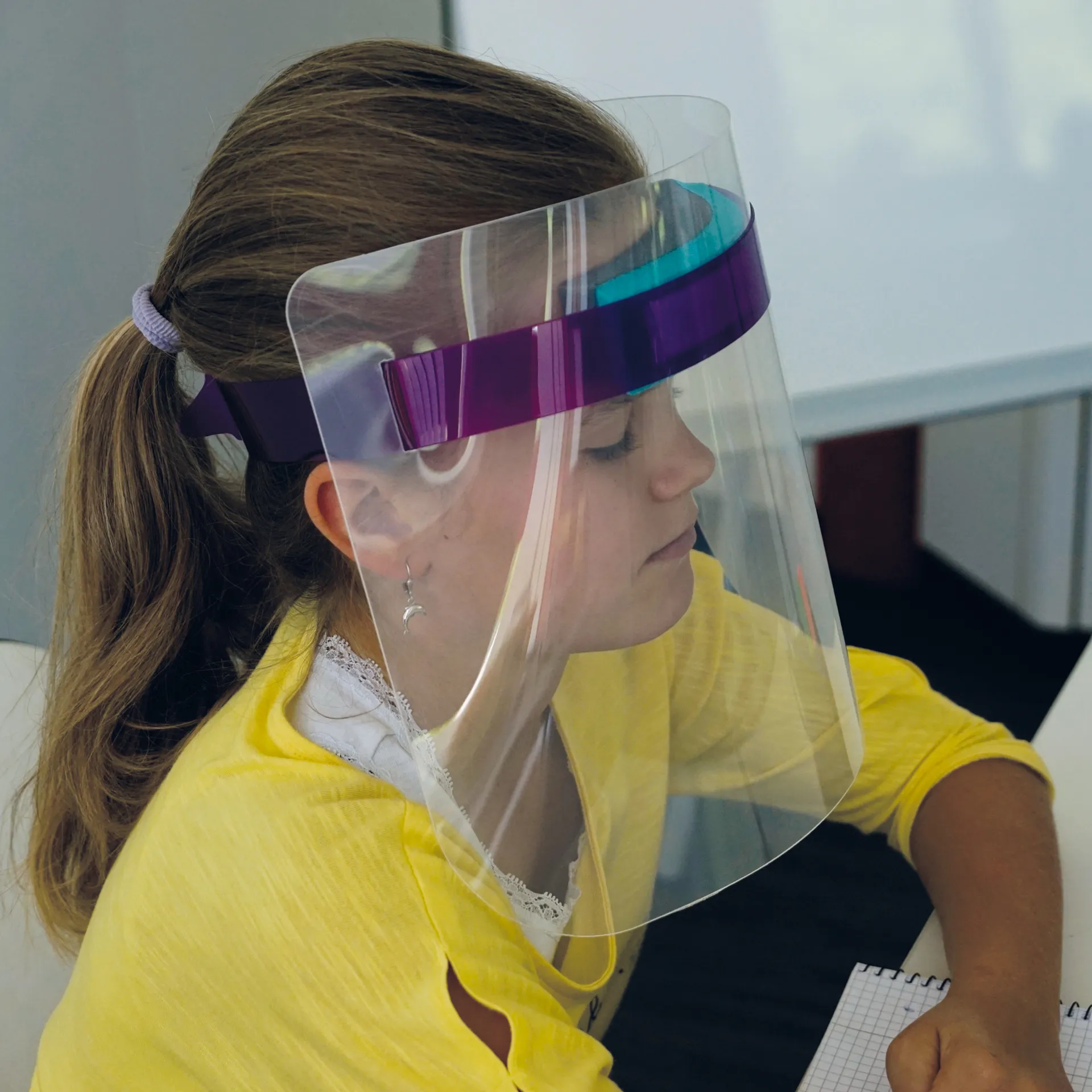 Gesichts-Schutzschild Basic