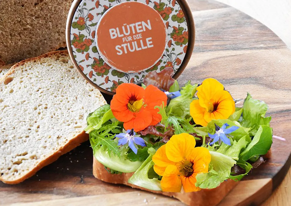 Zuchtset "Butterbrot-Blüten", 4-tlg.