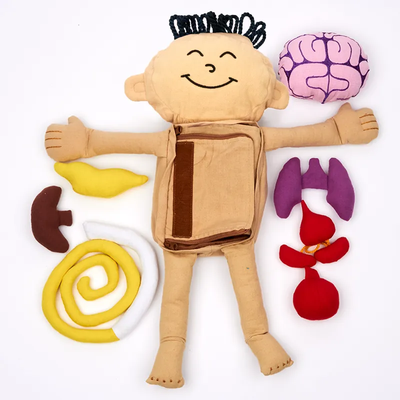 Forscher-Puppe "Mein Körper", 9-tlg.