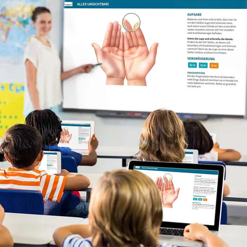 Experimentier-Box "Bakterien und Viren", 12-tlg.