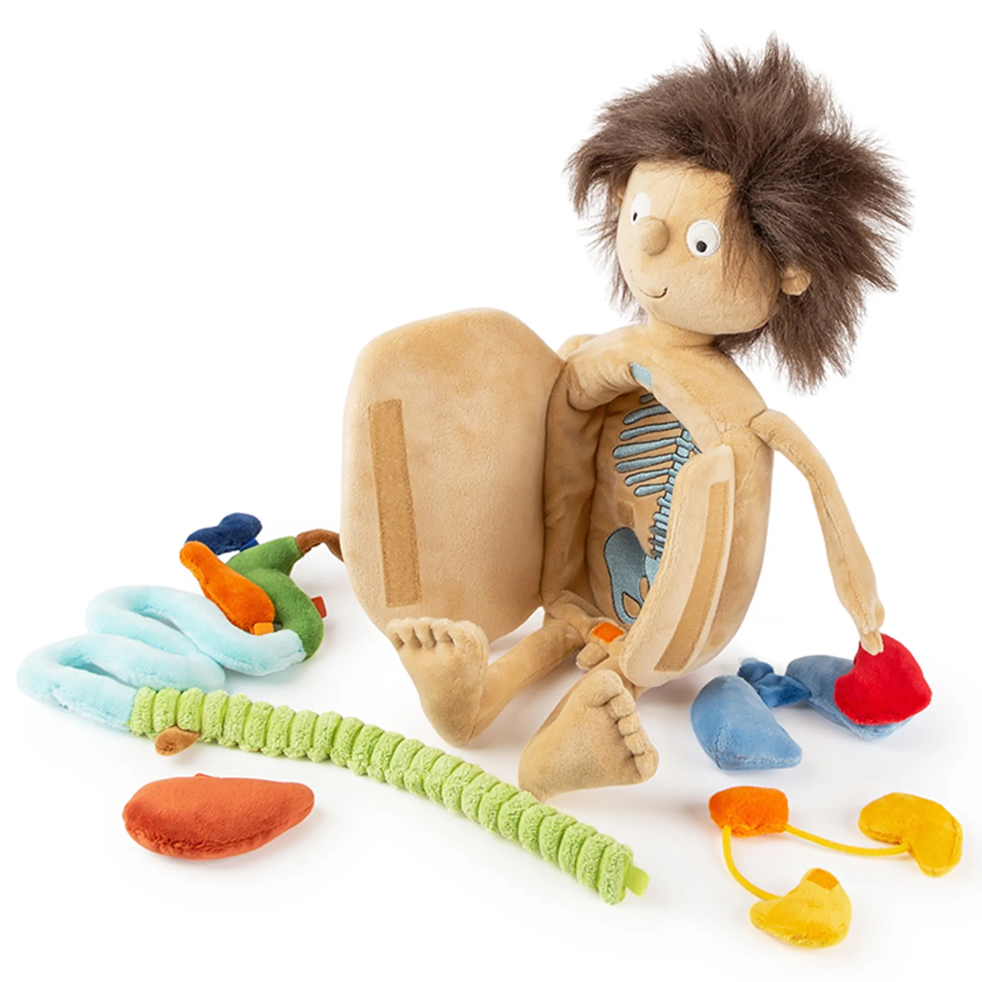 sigikid Lernpuppe "Erwins Körper", 44 cm