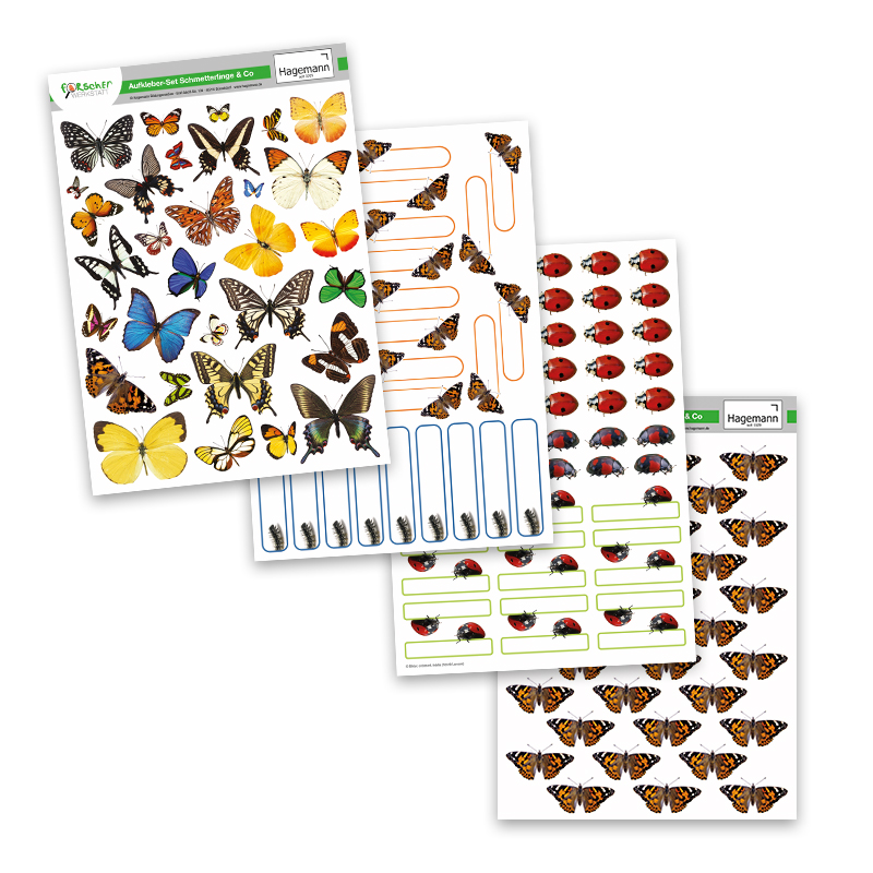 Bastelset "Insekten", 5-tlg.