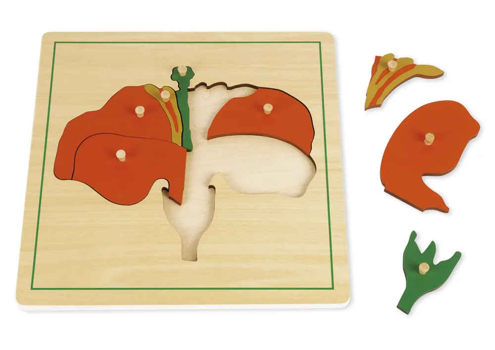 TimeTEX - Puzzle floare "Montessori Premium"