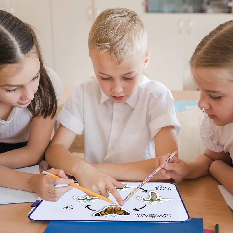 Set Lebenszyklus "Schmetterlinge & Co.", magnetisch, 32-tlg.