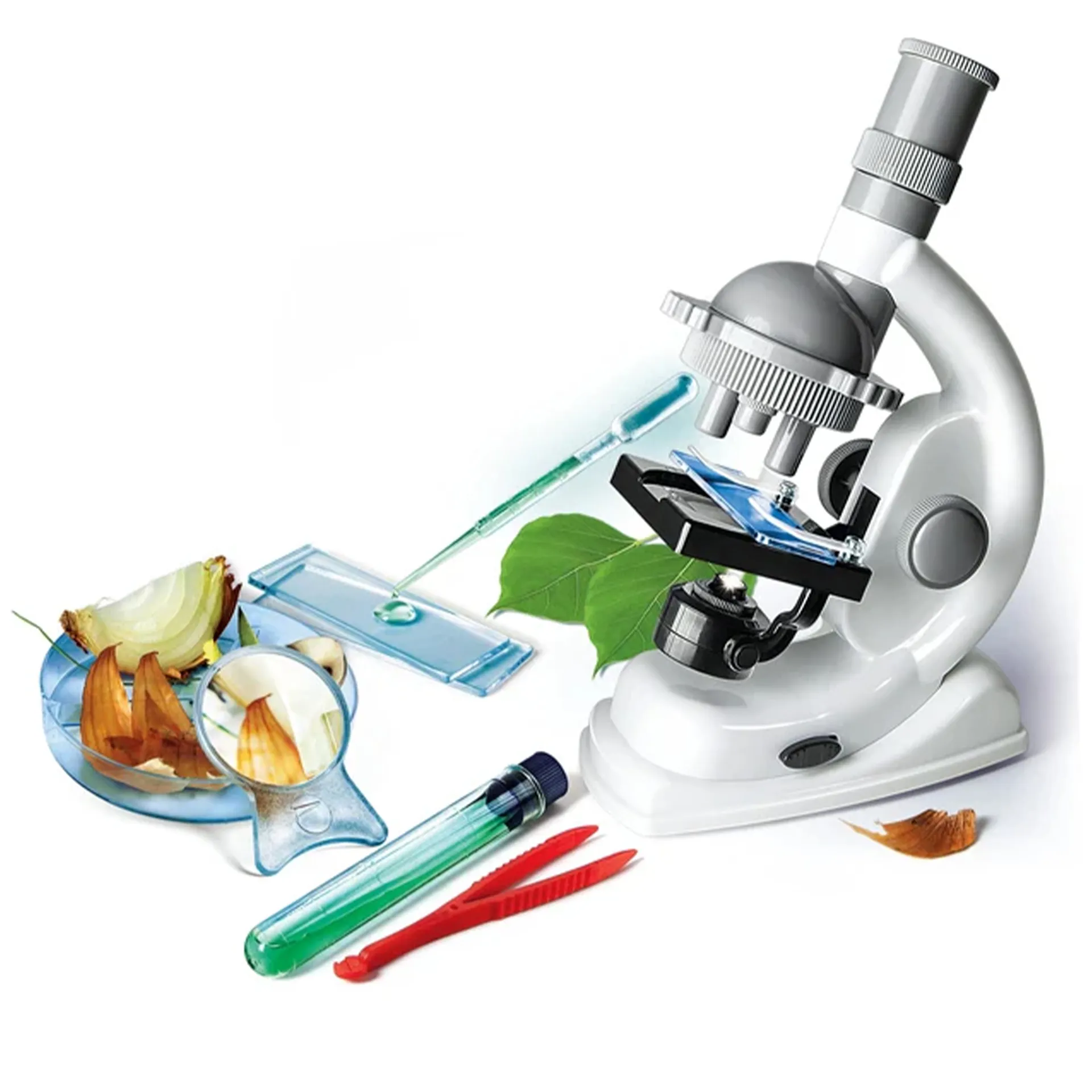 Set Einsteiger-Mikroskop, 600-fach