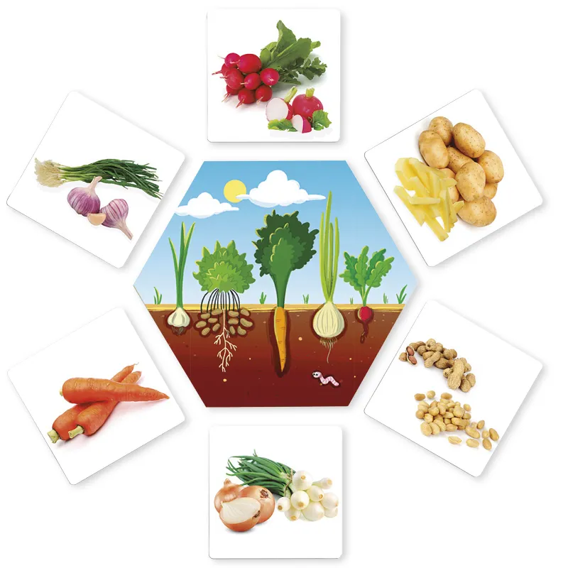 Wo kommen unsere Nahrungsmittel her? 36-tlg.