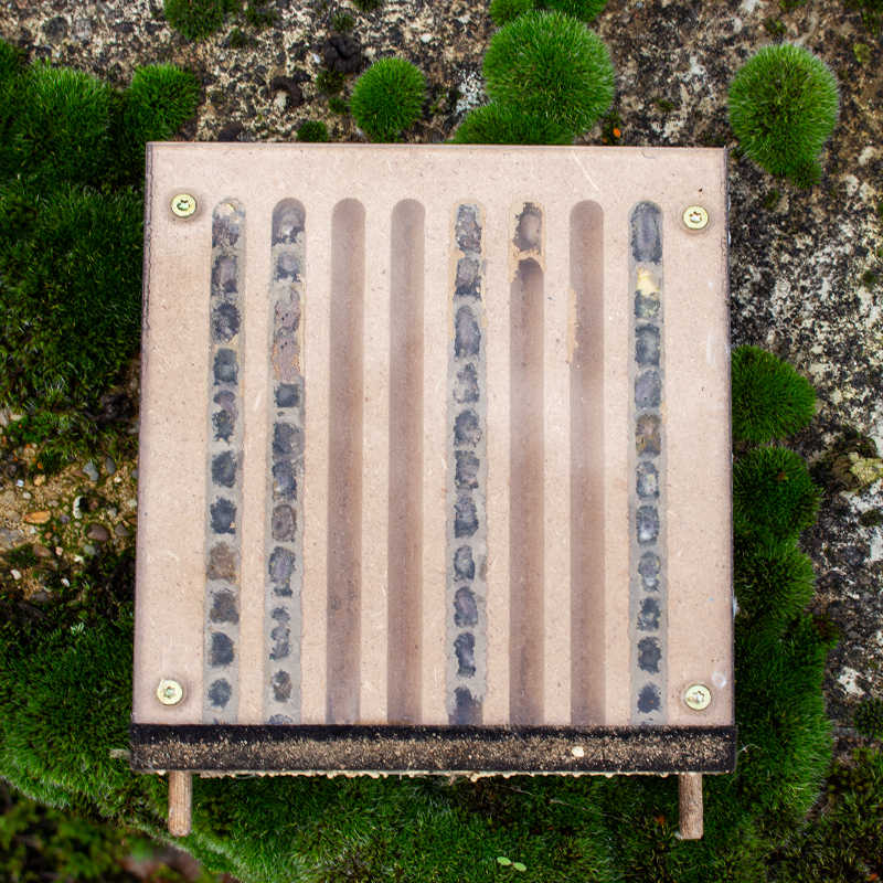 Pädagogischer Nistblock mit Beobachtungsschublade, 4-tlg. Pädagogischer Nistblock mit Beobachtungsschublade, 4-tlg.