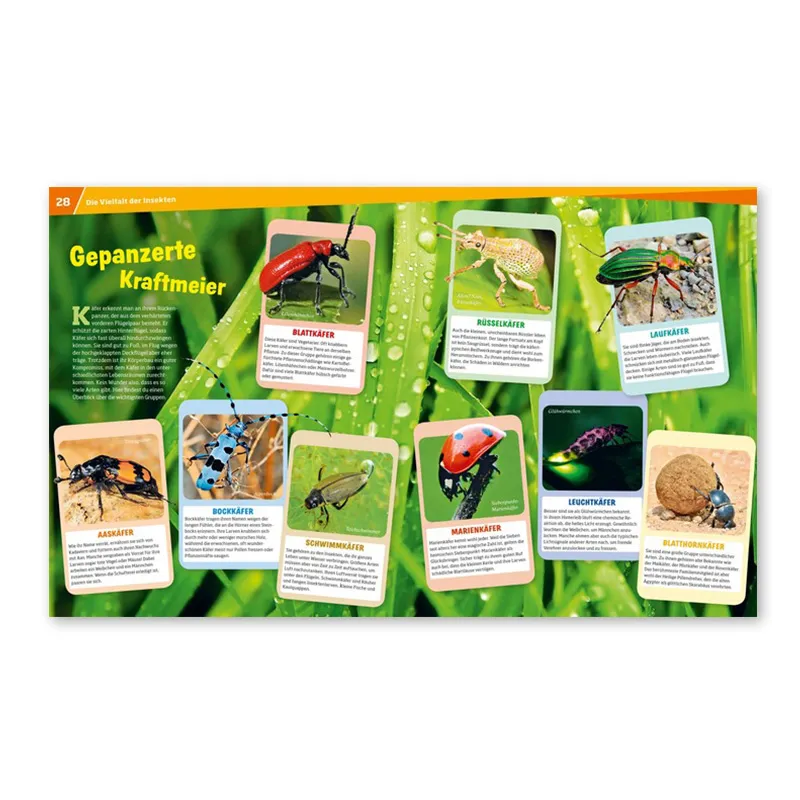 WAS IST WAS Band 30 "Insekten", 48 Seiten