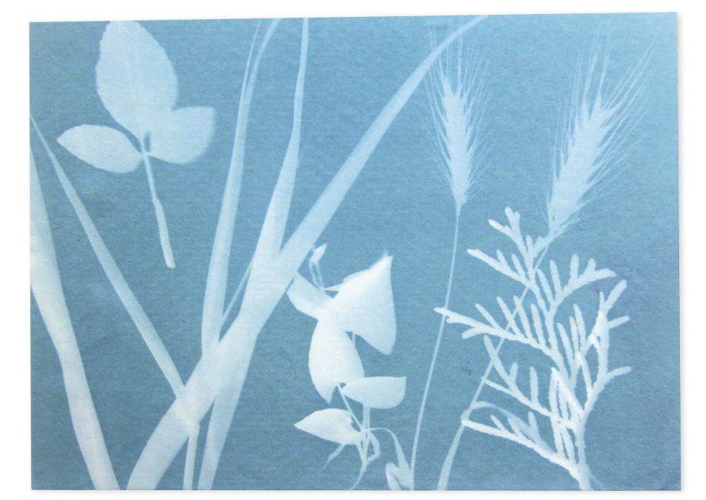 Hagemann Foto-Solarpapier, mittel (25 Blatt 27,9 x 21,6 cm)