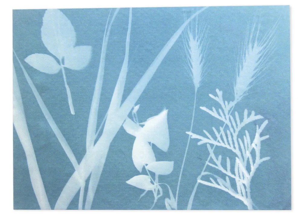 Foto-Solarpapier mittel, 27,9x21,6 cm, 25 Blatt