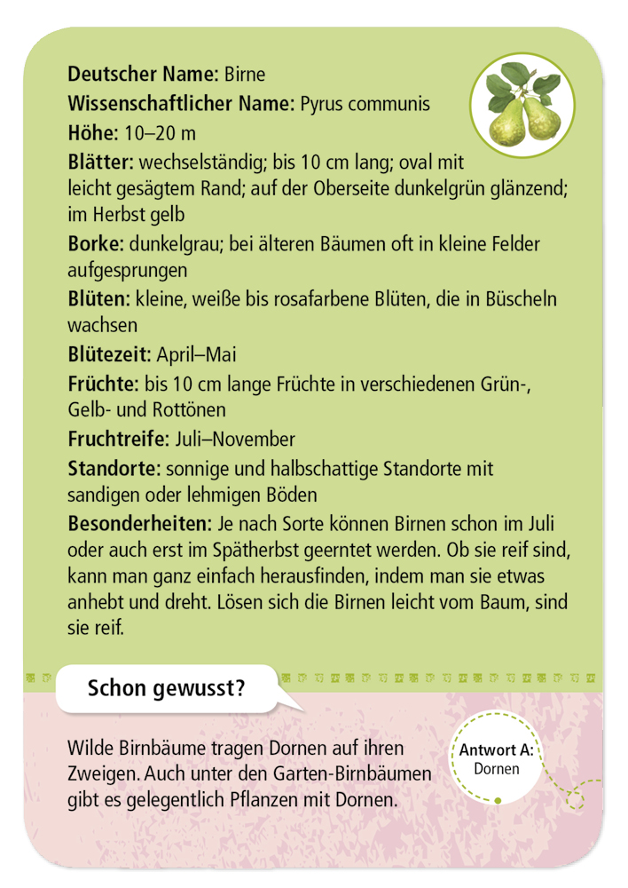 50 Garten- & Feldpflanzen entdecken und bestimmen 50 Garten- & Feldpflanzen entdecken und bestimmen