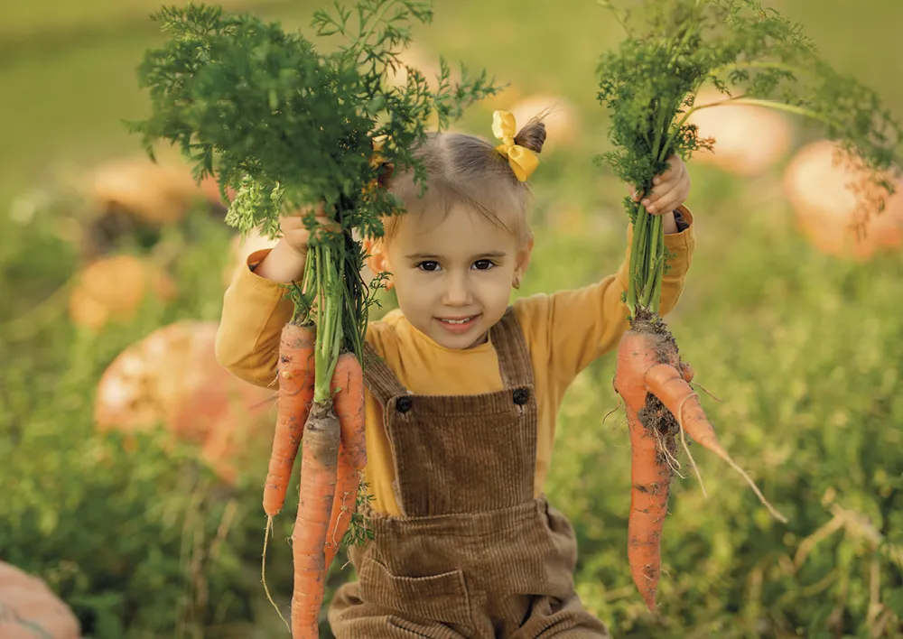 KOSMOS Buch "Matsch & Möhren - Mit Kindern den Garten entdecken", 144 Seiten