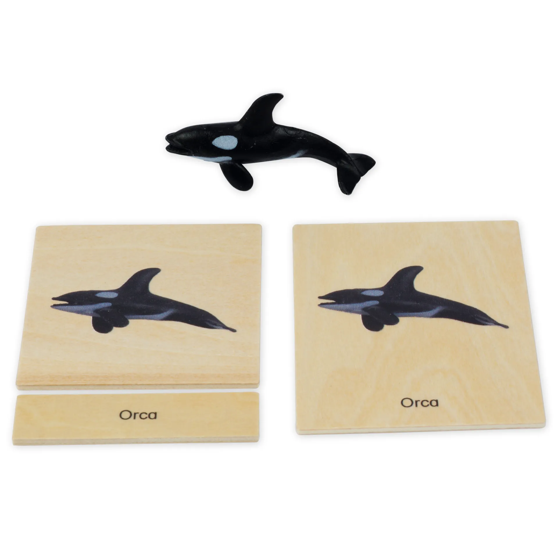 TimeTEX Mini-Polartiere-Set "Montessori Premium"