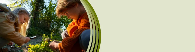 Kinder mit Lupen bei der Naturerkundung auf Lichtung