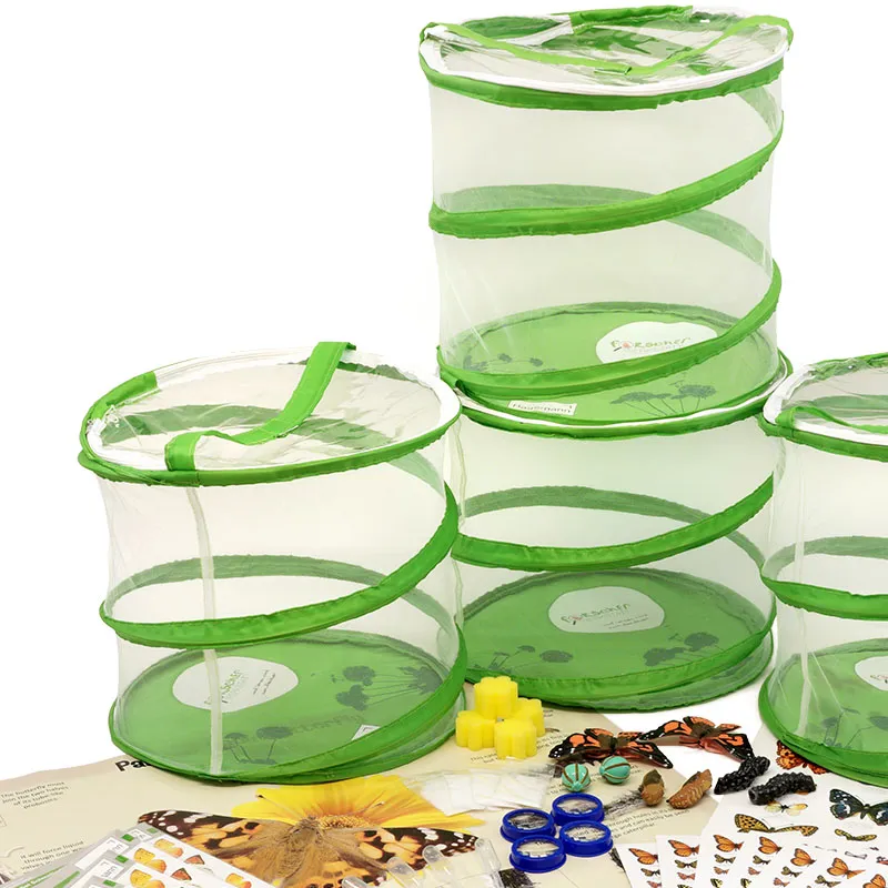 Forscherkoffer "Schmetterlings-Zucht", 46-tlg.