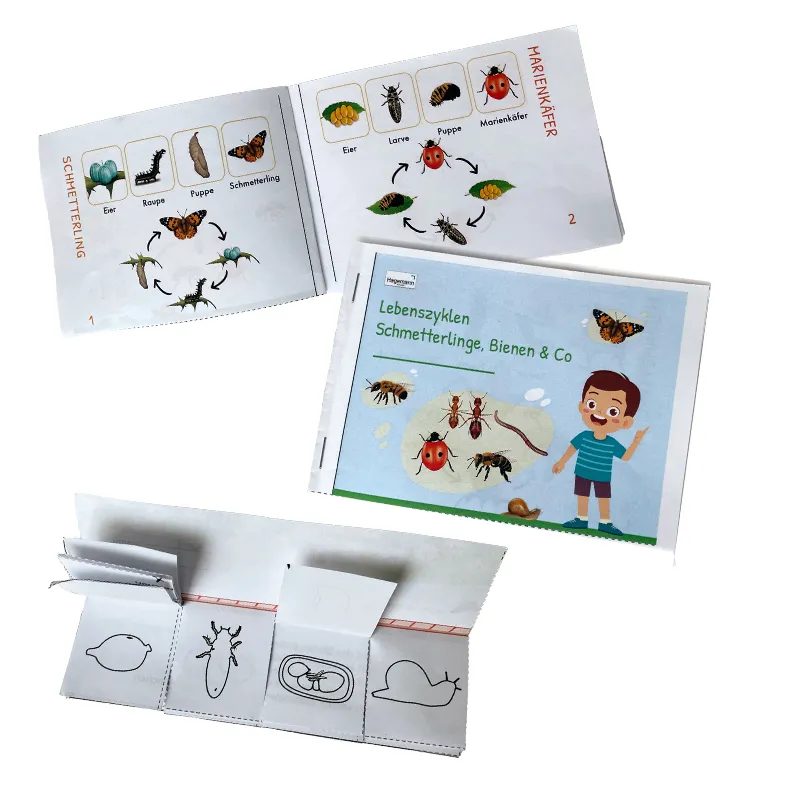 Klappen-Flipchart "Lebenszyklus: Schmetterlinge, Bienen & Co."