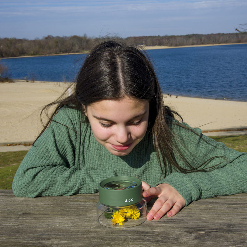 Insekten-Lupe, groß, 10,7 cm ø