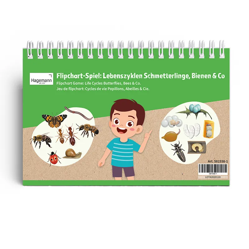 Klappen-Flipchart "Lebenszyklus: Schmetterlinge, Bienen & Co."