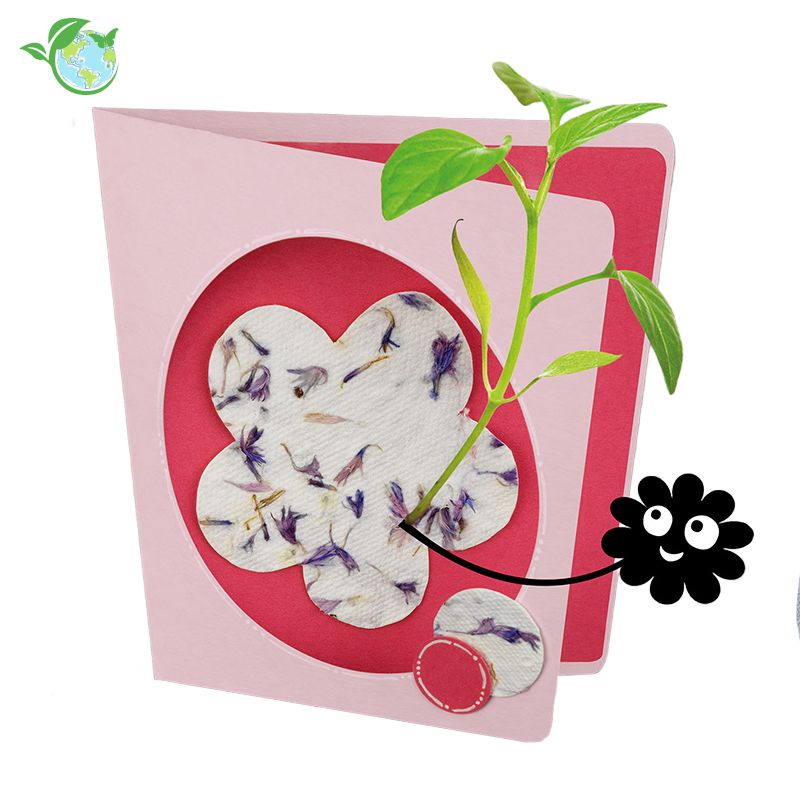 Bastelset "Blühendes Papier aus Altpapier", 11-tlg.