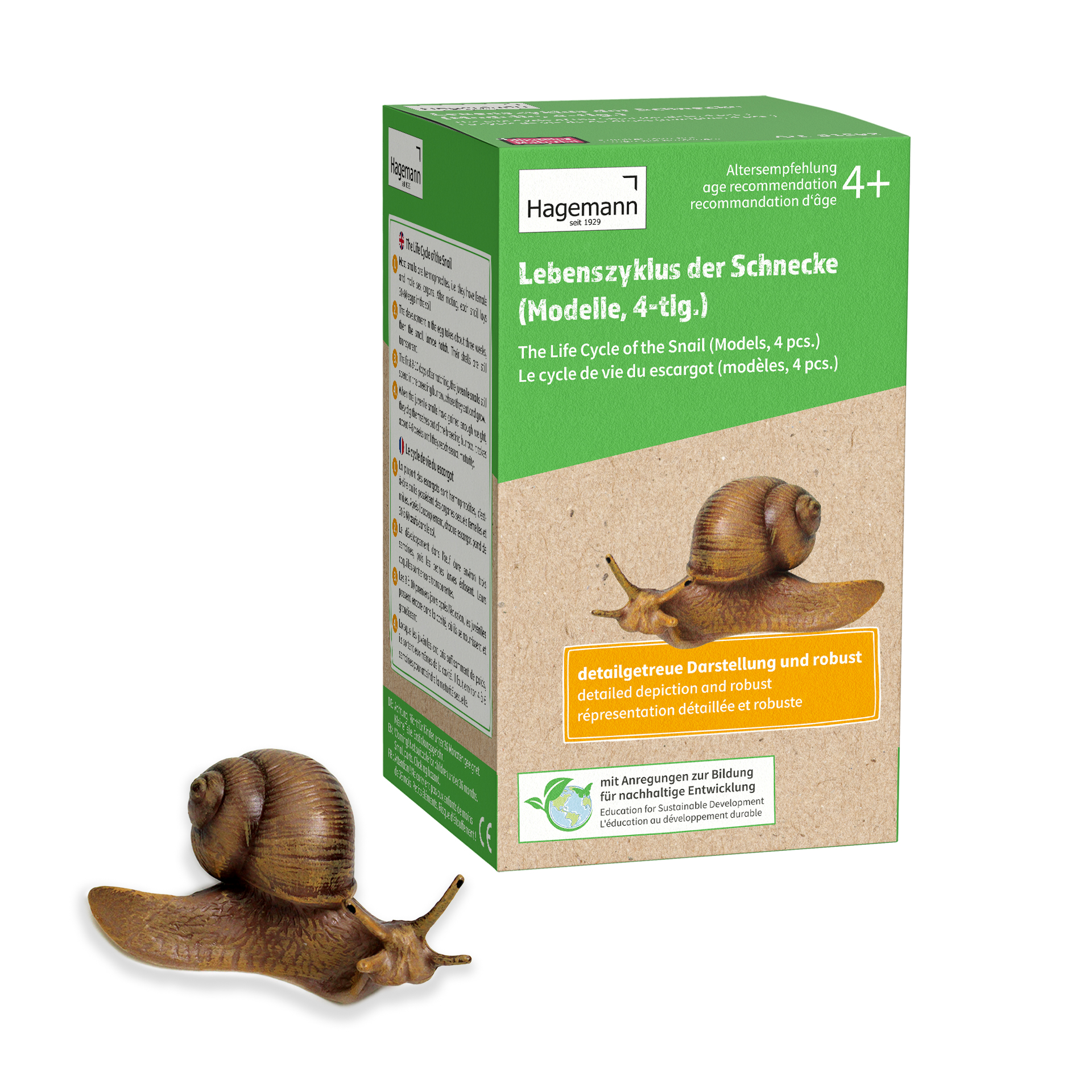 Lebenszyklus-Modell "Schnecke", 4-tlg.
