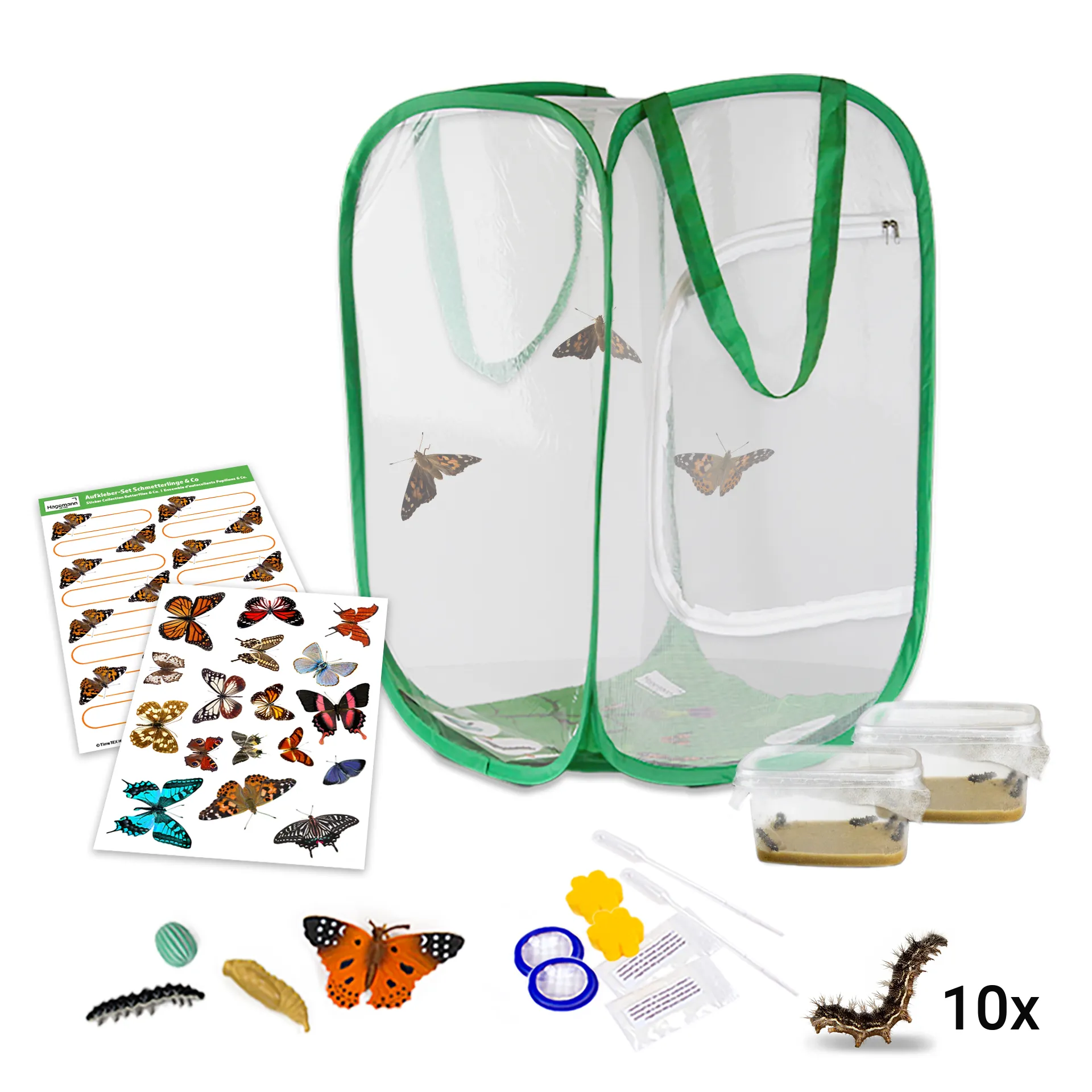 Zuchtset "Schmetterlinge", groß mit XXL-Voliere, 12-tlg.