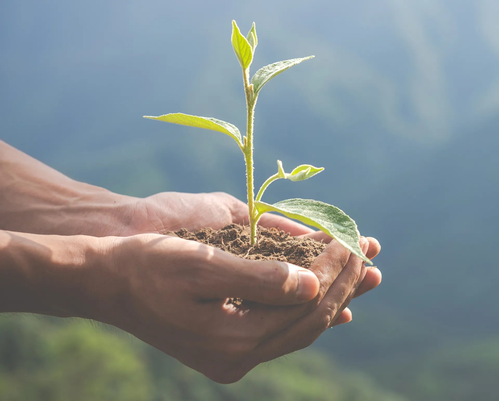 ber uns 2026 1920x1540px-2