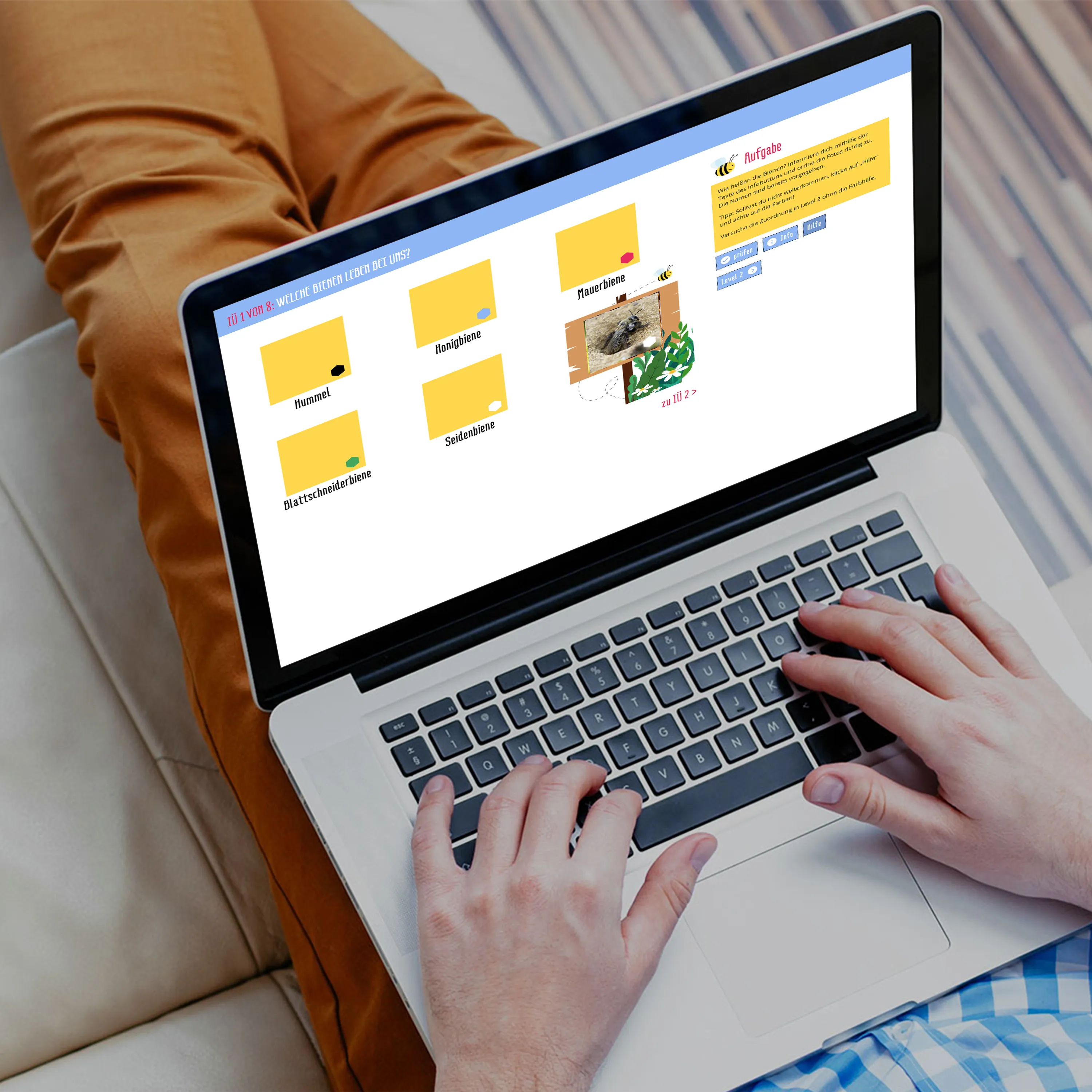 Medienheft "Wild- und Honigbienen", 44 Seiten