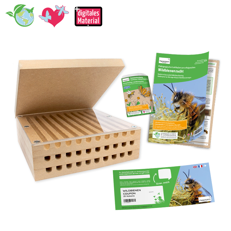 Hagemann Zuchtset Wildbienen, kompakt, Rote Mauerbiene (mit Gutschein, 25 Kokons)