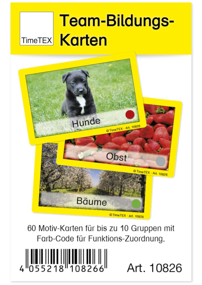 TimeTEX Team-Bildungs-Karten, 60-tlg. im Etui