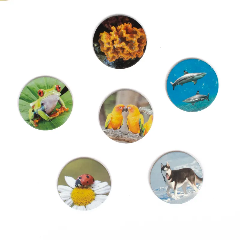 Lernspiel "Tierwelten entdecken und klassifizieren", 92-tlg.