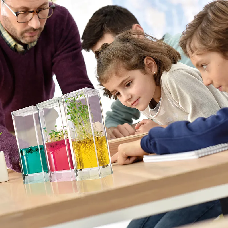 Beobachtungs-Set "Pflanzen-Keimstation", 13-tlg.